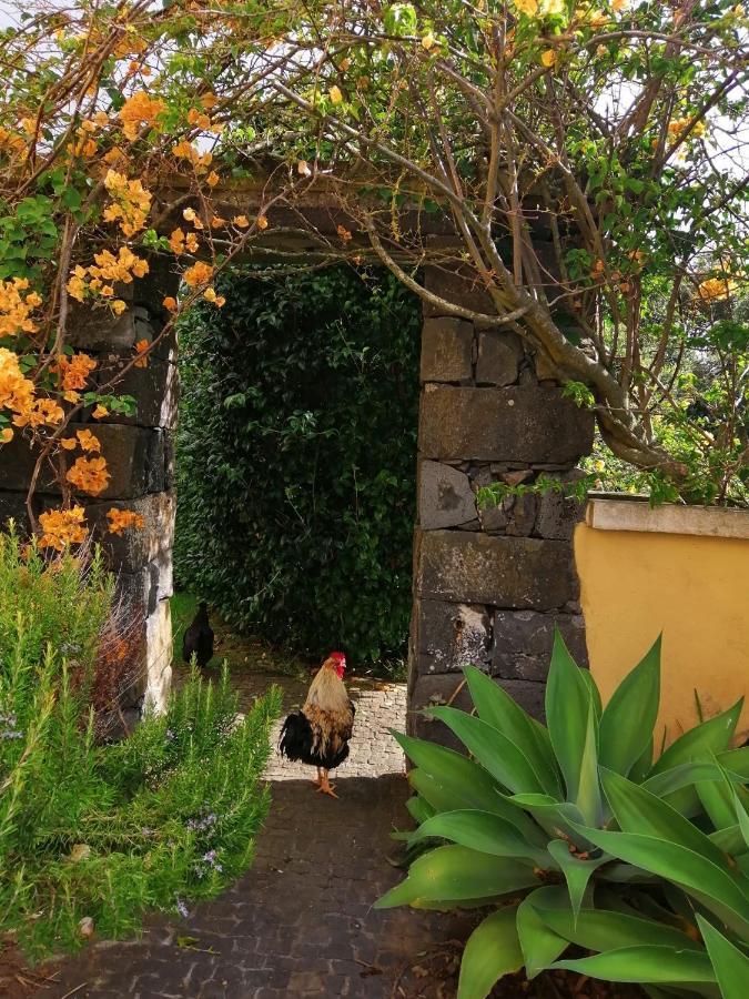 Casa Da Japoneira Hotel Horta  Exterior photo
